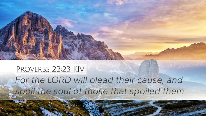 Proverbs 22:23 KJV Bible Verse Image