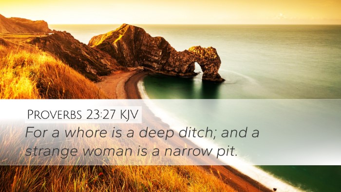 Proverbs 23:27 KJV Bible Verse Image