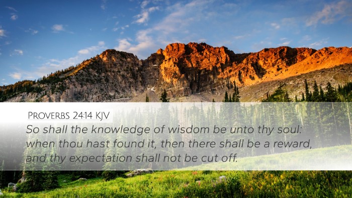 Proverbs 24:14 KJV Bible Verse Image