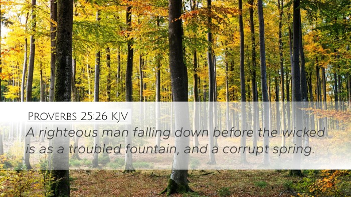 Proverbs 25:26 KJV Bible Verse Image