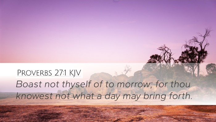 Proverbs 27:1 KJV Bible Verse Image