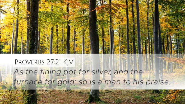 Proverbs 27:21 KJV Bible Verse Image