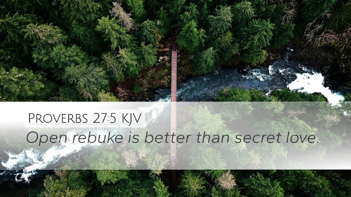 Proverbs 27:5 KJV Bible Verse Image