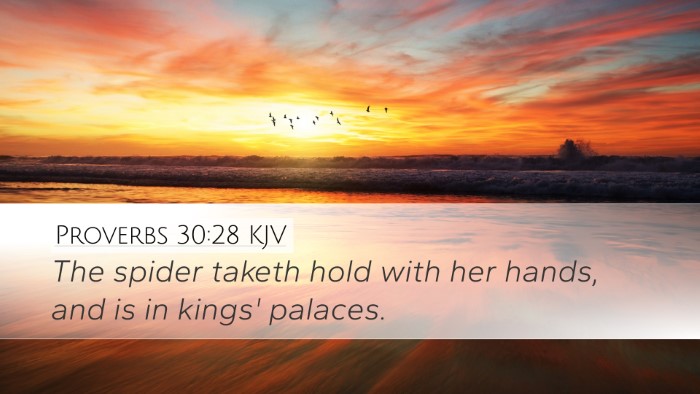 Proverbs 30:28 KJV Desktop Wallpaper - The spider taketh hold with her hands, and is in - Desktop Bible Verse Wallpaper