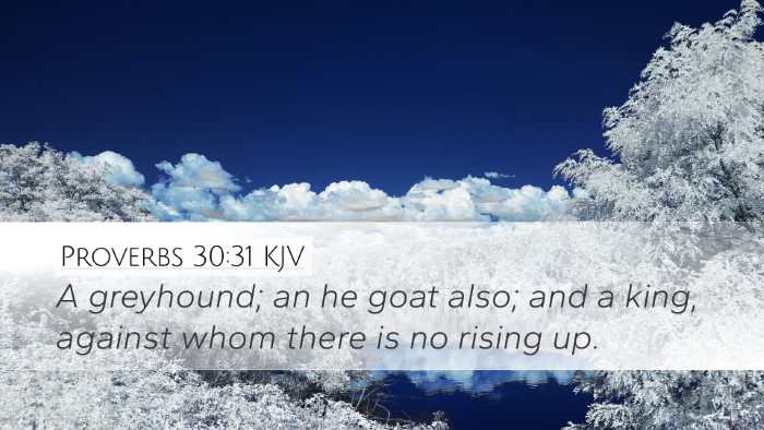 Proverbs 30:31 KJV Bible Verse Image