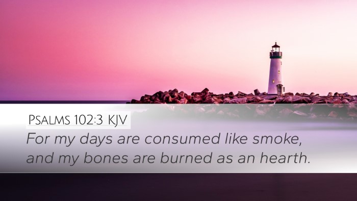 Psalms 102:3 KJV Bible Verse Image