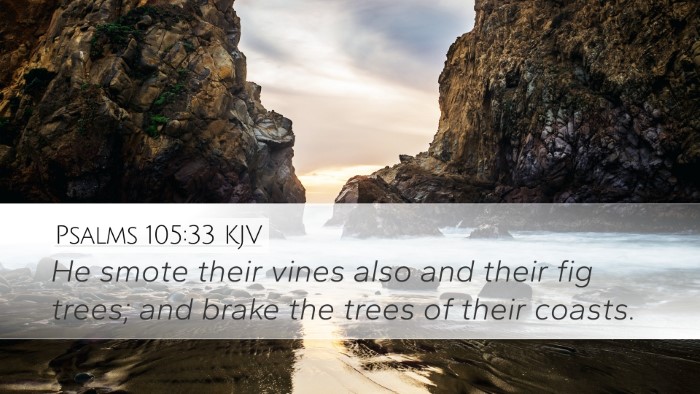 Psalms 105:33 KJV Bible Verse Image
