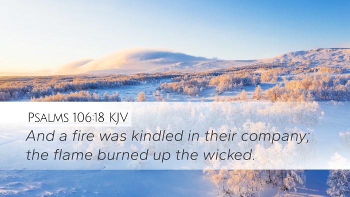Psalms 106:18 KJV Bible Verse Image