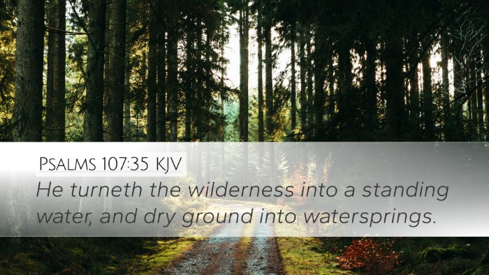 Psalms 107:35 KJV Desktop Wallpaper - He turneth the wilderness into a standing water, - Desktop Bible Verse Wallpaper