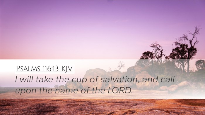 Psalms 116:13 KJV Bible Verse Image