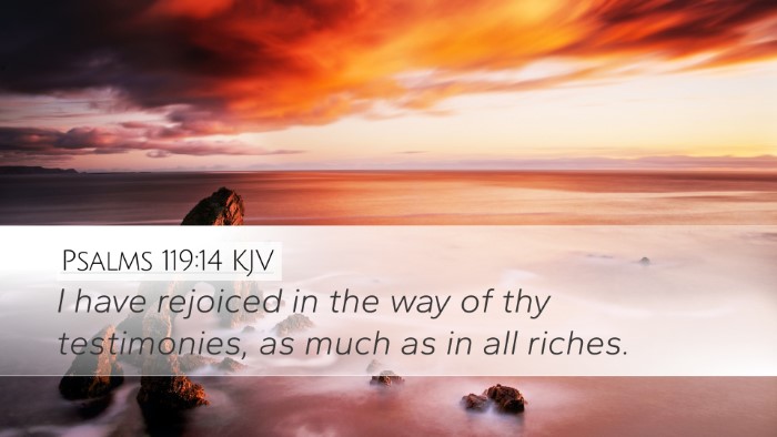 Psalms 119:14 KJV Bible Verse Image