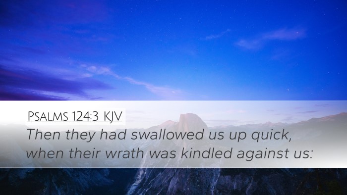 Psalms 124:3 KJV Desktop Wallpaper - Then they had swallowed us up quick, when their - Desktop Bible Verse Wallpaper