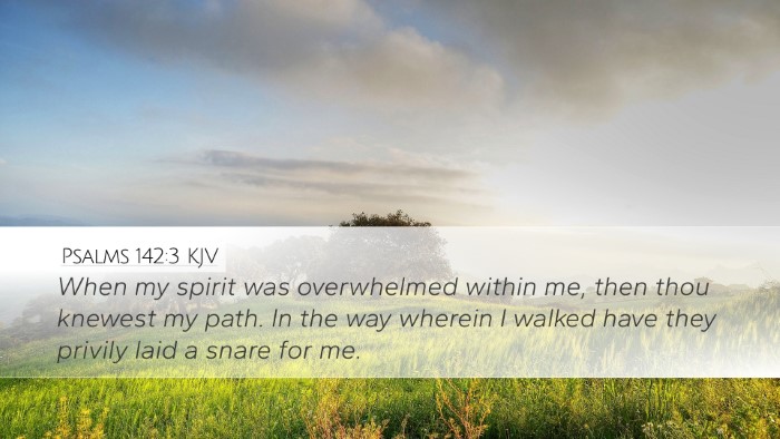 Psalms 142:3 KJV Bible Verse Image