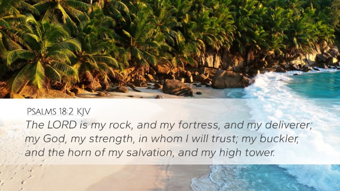 Psalms 18:2 KJV Bible Verse Image