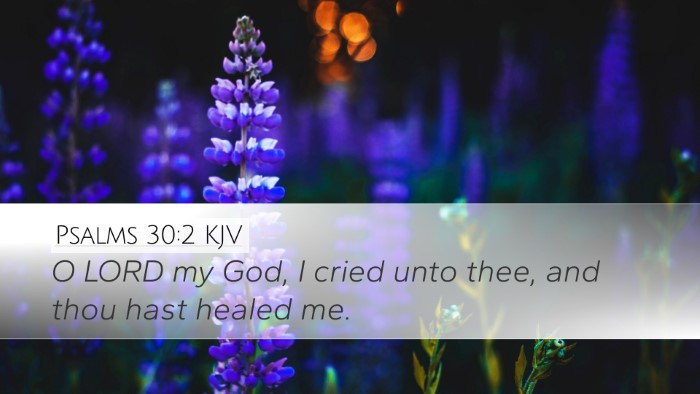 Psalms 30:2 KJV Bible Verse Image