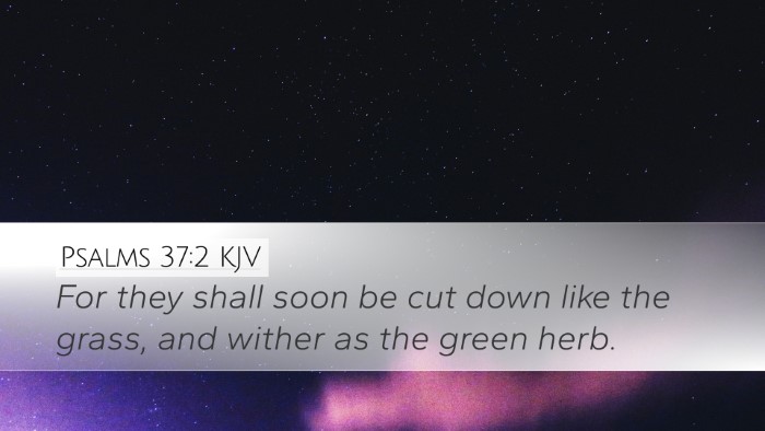 Psalms 37:2 KJV Desktop Wallpaper - For they shall soon be cut down like the grass, - Desktop Bible Verse Wallpaper