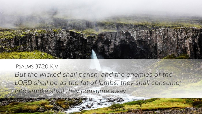Psalms 37:20 KJV Desktop Wallpaper - But the wicked shall perish, and the enemies of - Desktop Bible Verse Wallpaper
