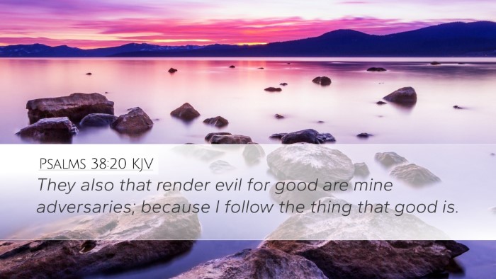 Psalms 38:20 KJV Bible Verse Image