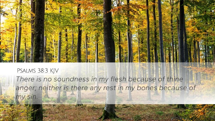 Psalms 38:3 KJV Bible Verse Image