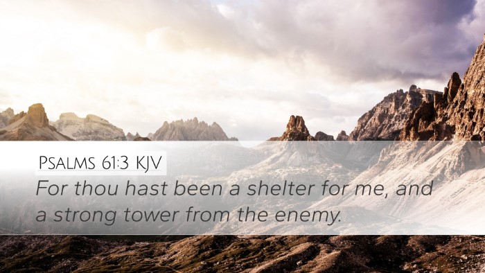 Psalms 61:3 KJV Bible Verse Image