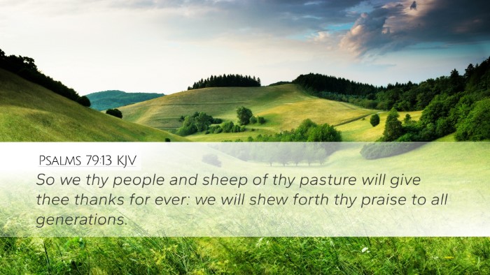 Psalms 79:13 KJV Bible Verse Image