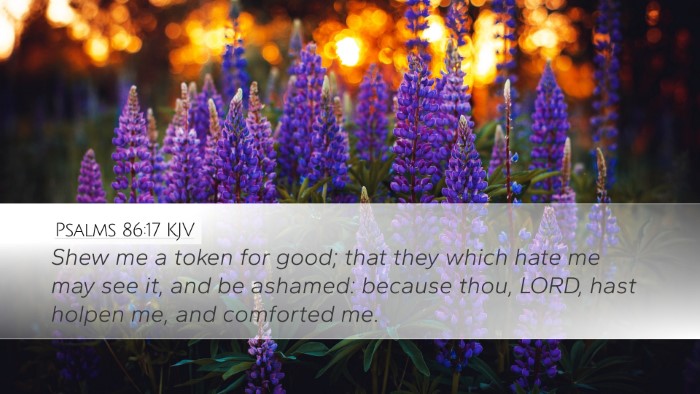 Psalms 86:17 KJV Bible Verse Image
