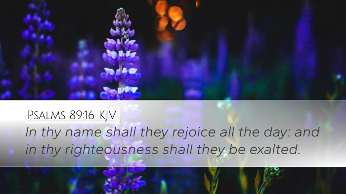 Psalms 89:16 KJV Bible Verse Image