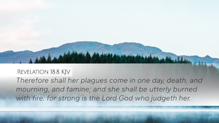 Revelation 18:8 KJV Bible Verse Image