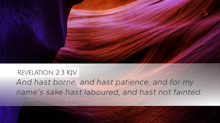 Revelation 2:3 KJV Bible Verse Image