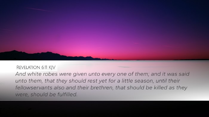 Revelation 6:11 KJV Bible Verse Image