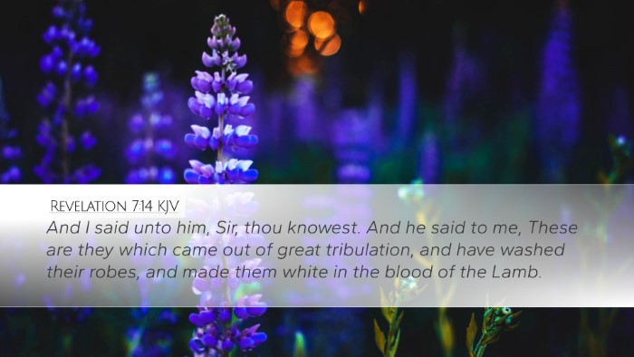 Revelation 7:14 KJV Bible Verse Image
