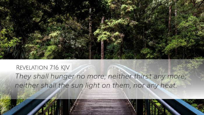 Revelation 7:16 KJV Bible Verse Image