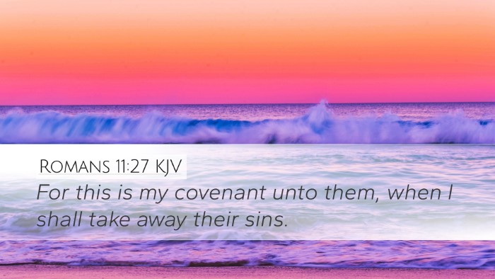Romans 11:27 KJV Bible Verse Image