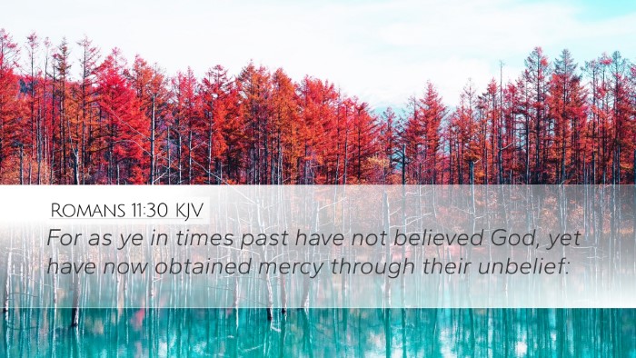 Romans 11:30 KJV Bible Verse Image