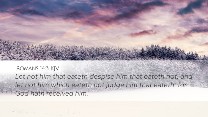 Romans 14:3 KJV Bible Verse Image