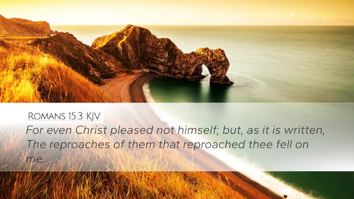 Romans 15:3 KJV Bible Verse Image