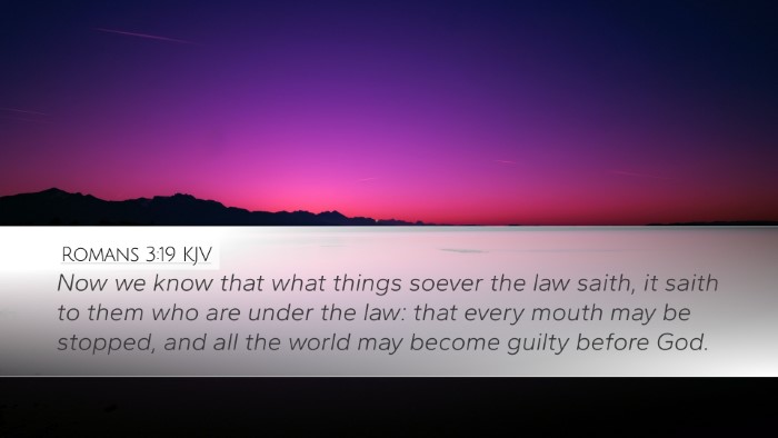 Romans 3:19 KJV Bible Verse Image