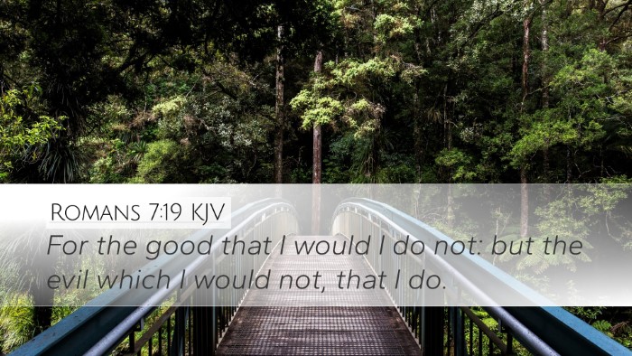 Romans 7:19 KJV Desktop Wallpaper - For the good that I would I do not: but the evil - Desktop Bible Verse Wallpaper