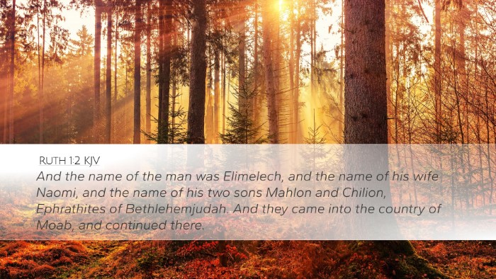 Ruth 1:2 KJV Bible Verse Image