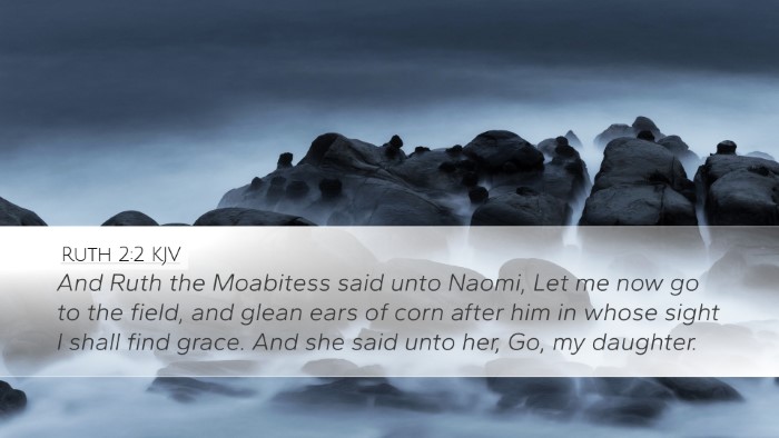 Ruth 2:2 KJV Bible Verse Image