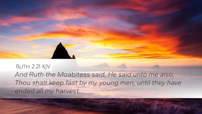 Ruth 2:21 KJV Desktop Wallpaper - And Ruth the Moabitess said, He said unto me - Desktop Bible Verse Wallpaper