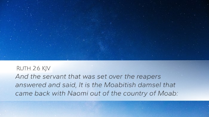 Ruth 2:6 KJV Desktop Wallpaper - And the servant that was set over the reapers - Desktop Bible Verse Wallpaper