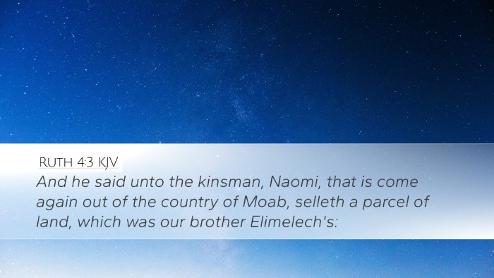 Ruth 4:3 KJV Bible Verse Image