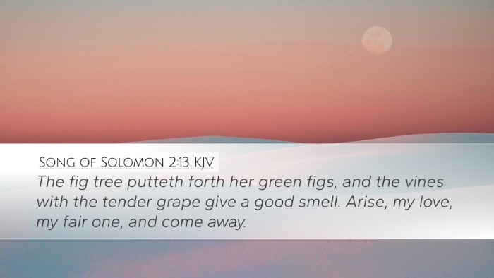 Song of Solomon 2:13 KJV Bible Verse Image