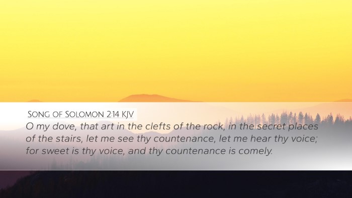 Song of Solomon 2:14 KJV Bible Verse Image