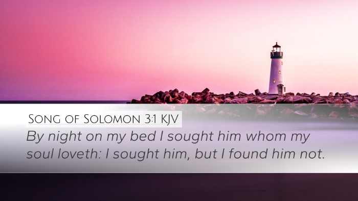 Song of Solomon 3:1 KJV Bible Verse Image