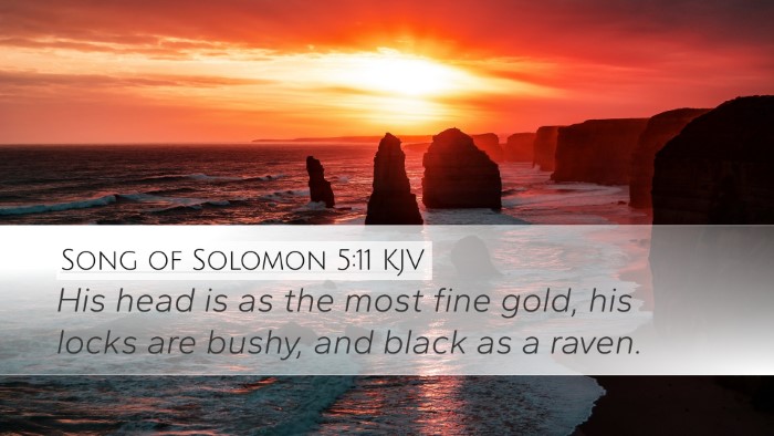 Song of Solomon 5:11 KJV Bible Verse Image