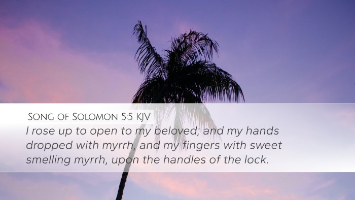 Song of Solomon 5:5 KJV Bible Verse Image