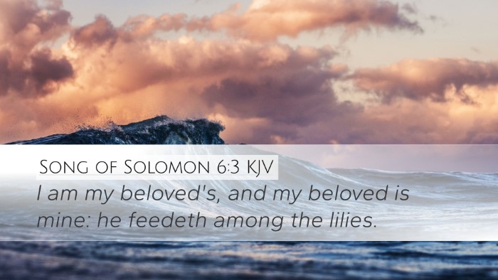 Song of Solomon 6:3 KJV Bible Verse Image