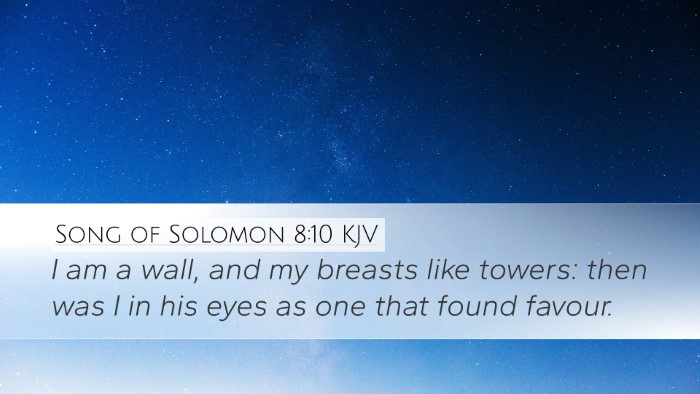 Song of Solomon 8:10 KJV Bible Verse Image